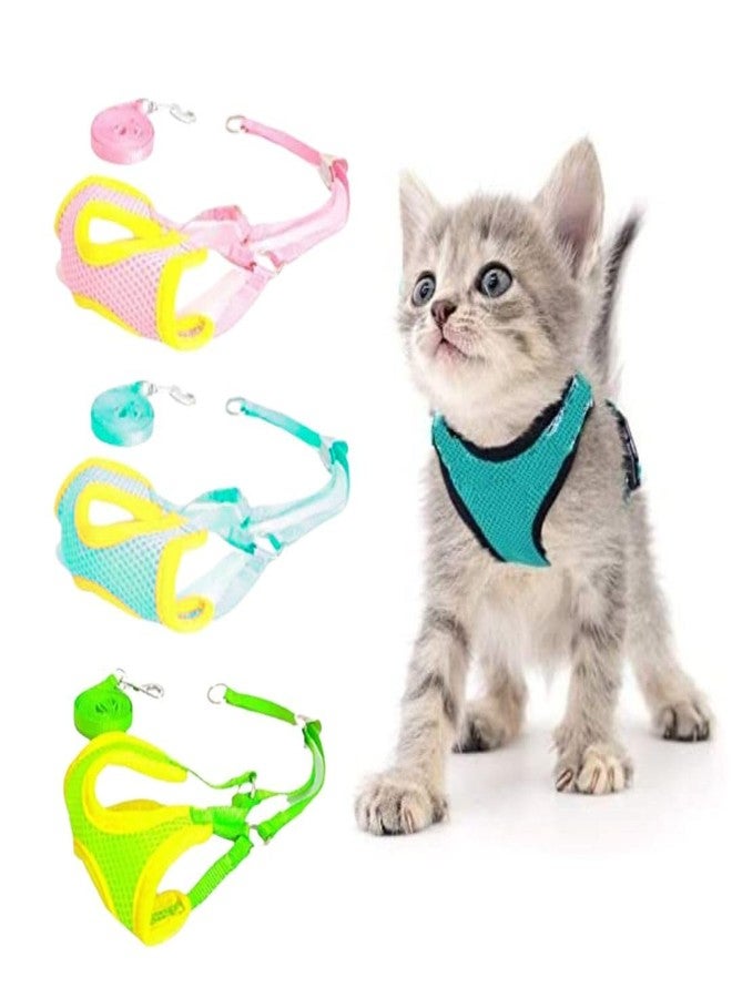 PET FUN Padded Vest Harness Set with Leash for Small Dogs, Cats, & Puppies | Adjustable Soft Mesh Harness for Training & Walking | Lightweight & Breathable with Secure Buckle (Multicolour, 10 MM)